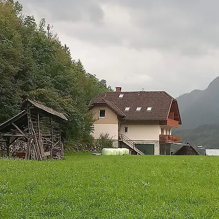 Dominika * Bohinjska Bela